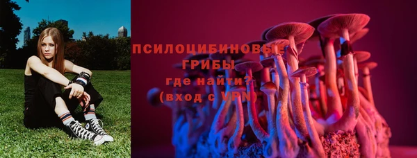мяу мяу мука Алзамай