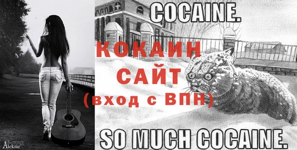 мяу мяу мука Алзамай