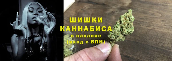 мдпв Алагир