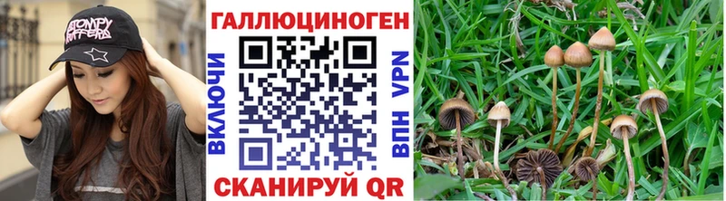 Галлюциногенные грибы Cubensis Учалы
